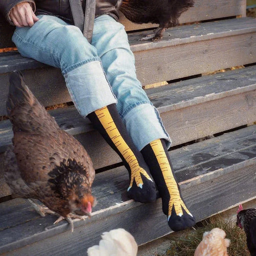 3D Chicken Socks Print  Sock